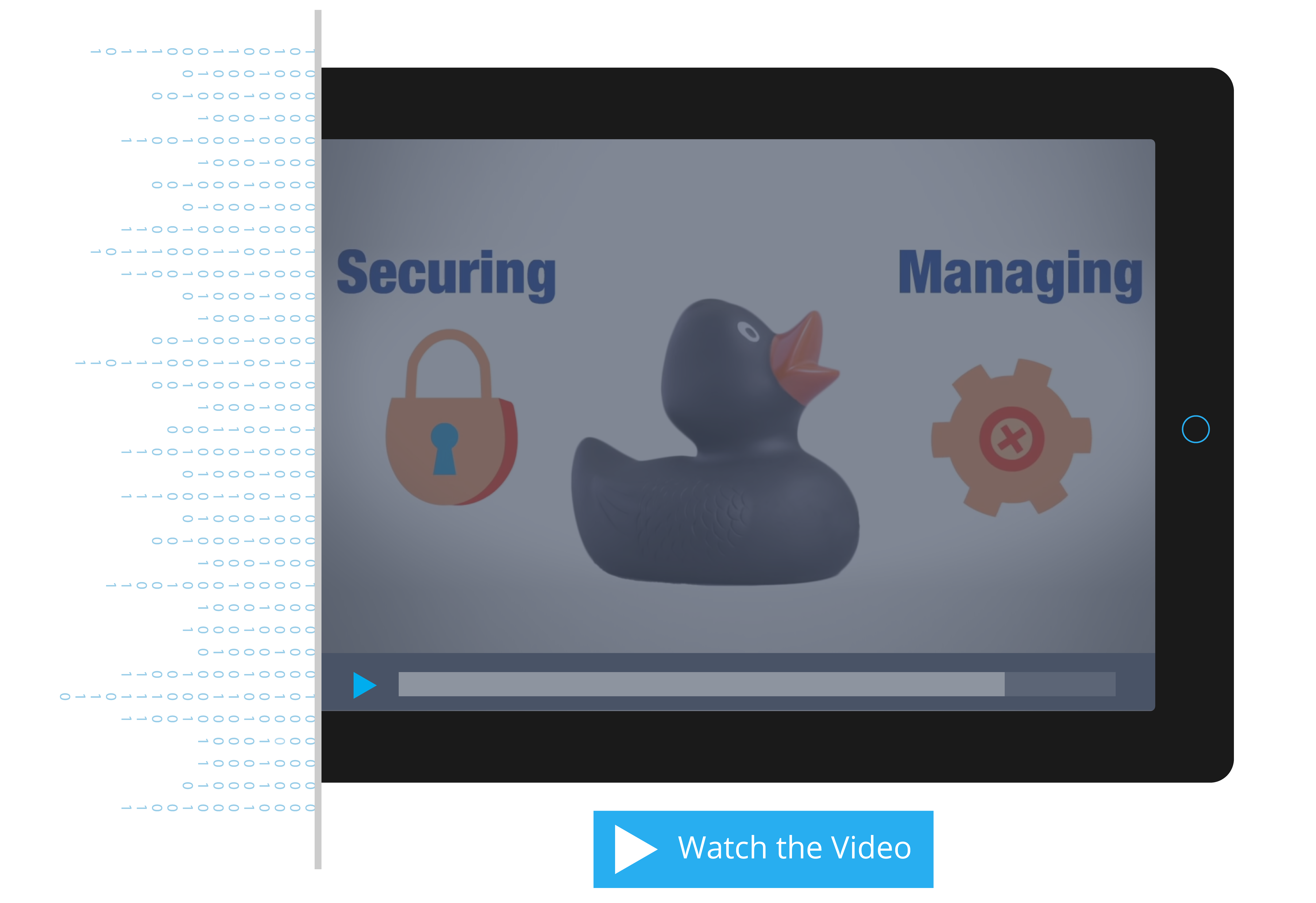 Black Duck达信通成科技