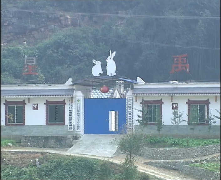 星禹兔业创辉煌