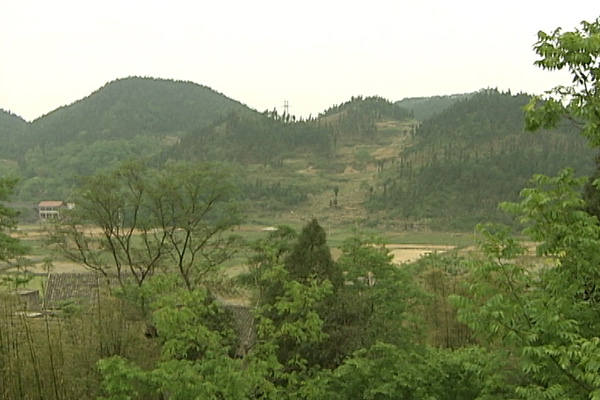 绿满山川——记蓬勃发展的汇森林业