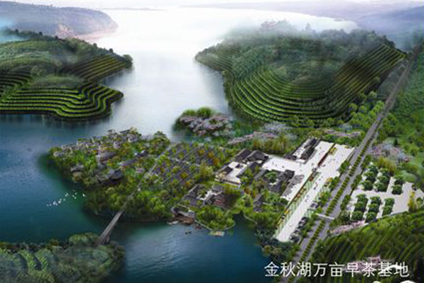中国好茶 放心叙府