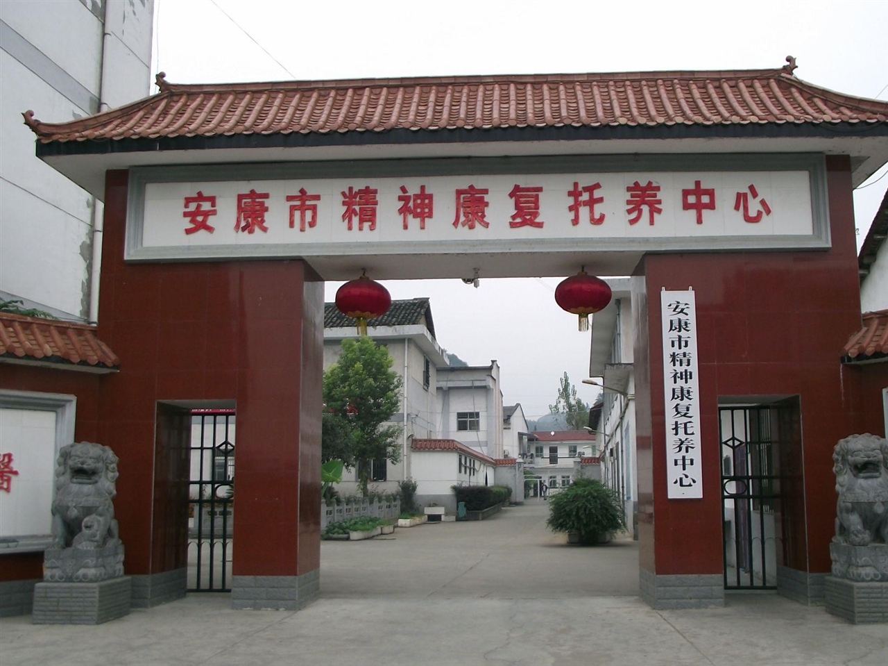 撑起一方绿荫的精神家园