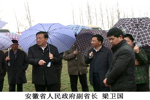 现代农业的领航者——亳州智航