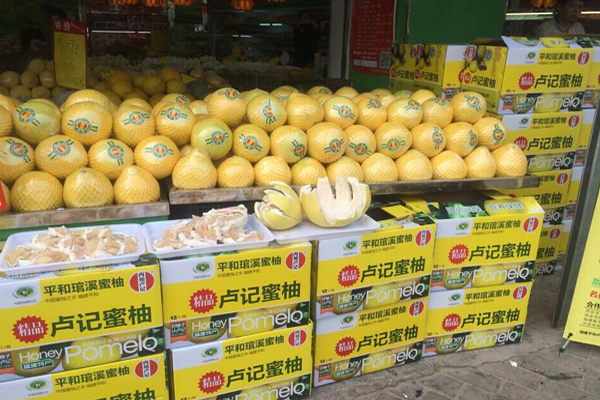 中国蜜柚之乡——福建平和琯溪卢记蜜柚