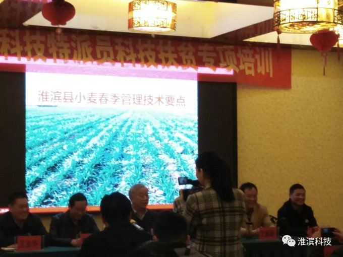 河南省小麥產業科技特派員服務團來淮開展科技服務