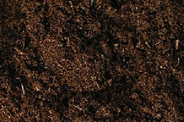 自制腐叶土的方法 如何快速发酵