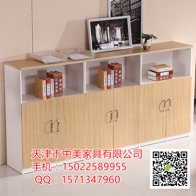 木質文件柜 兩門儲物柜