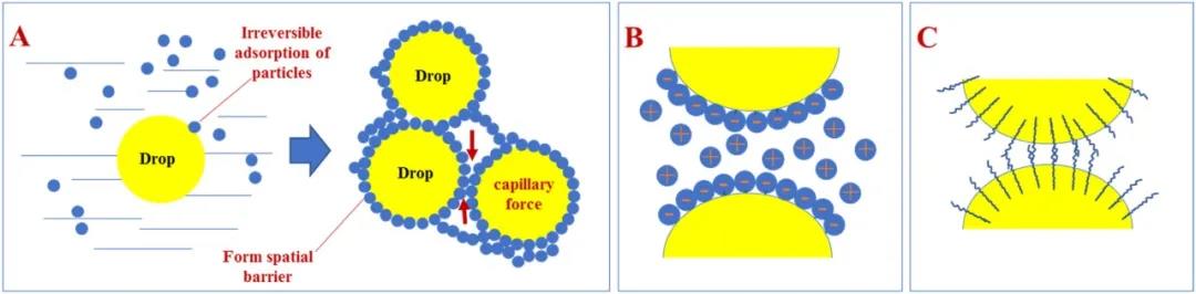 2020 Pickering And High Internal Phase Pickering Emulsions Stabilized 