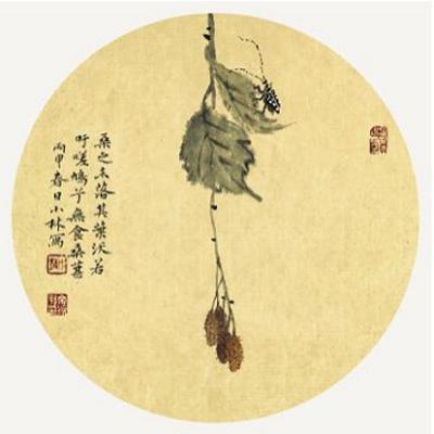 桑椹子是什么?桑椹子有哪些功效?