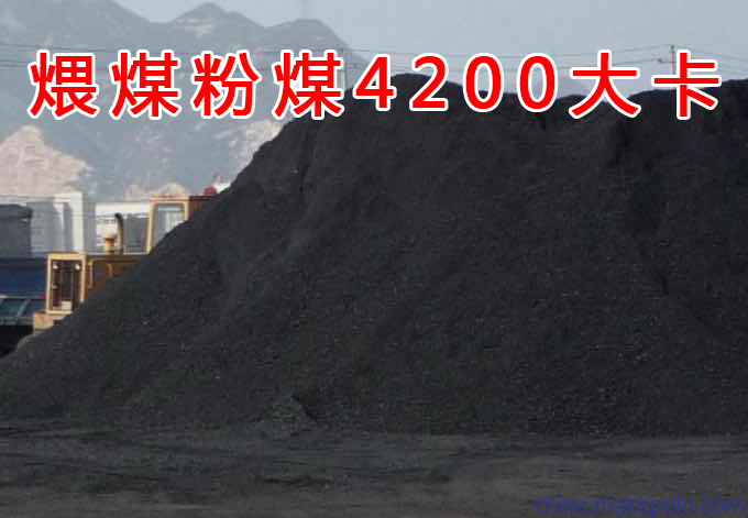 煨煤粉煤4200大卡