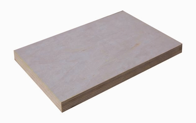  Poplar plywood 杨木胶合板