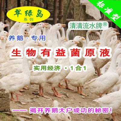 翠绿岛『养鹅专用-生物有益菌原液』★提高鹅的产量与品质!