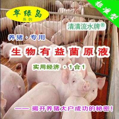 翠绿岛『养猪-生物有益菌原液』★提高猪的产量与品质!