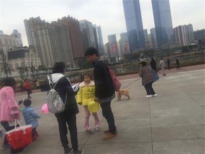 贵州市场查询拜访公司，贵阳满足度申报，问卷查询拜访表