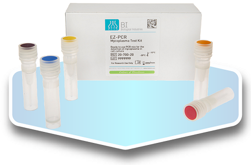 13235092_PCR-10.png