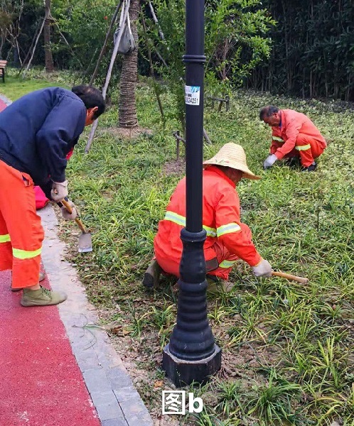 近期园林苗木养护以及病虫害防治重点-上海友通环保高科技有限公司