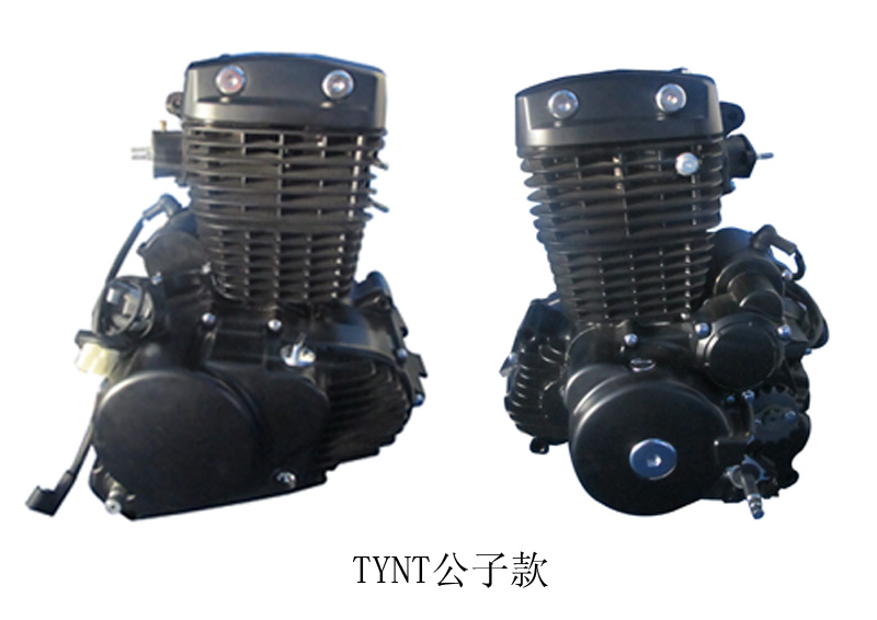 TYNT Blance Shaft Chain Engine  (Gong Zi Cover)  223cc