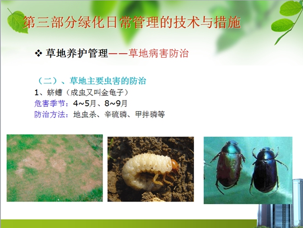 从常用绿化园林植物,树种,植物常见病虫害和物业绿化管理等方面进行了