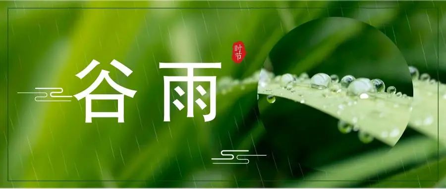 谷雨雨生百谷润泽万物