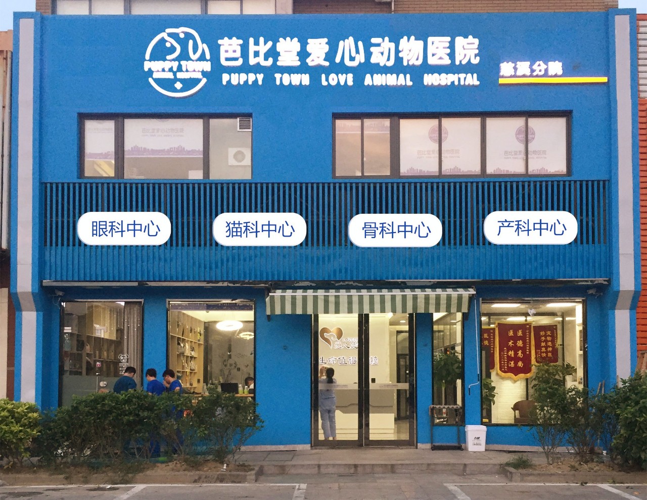 2022宁波宠物医院排行榜前十,口碑好的有这几家-宠物主人