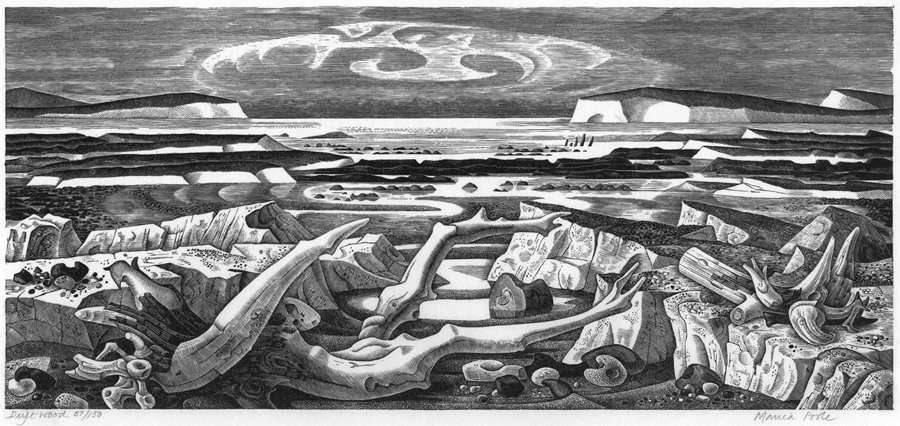 "国际木口木刻版画作品及文献展"是国内首次大规模的