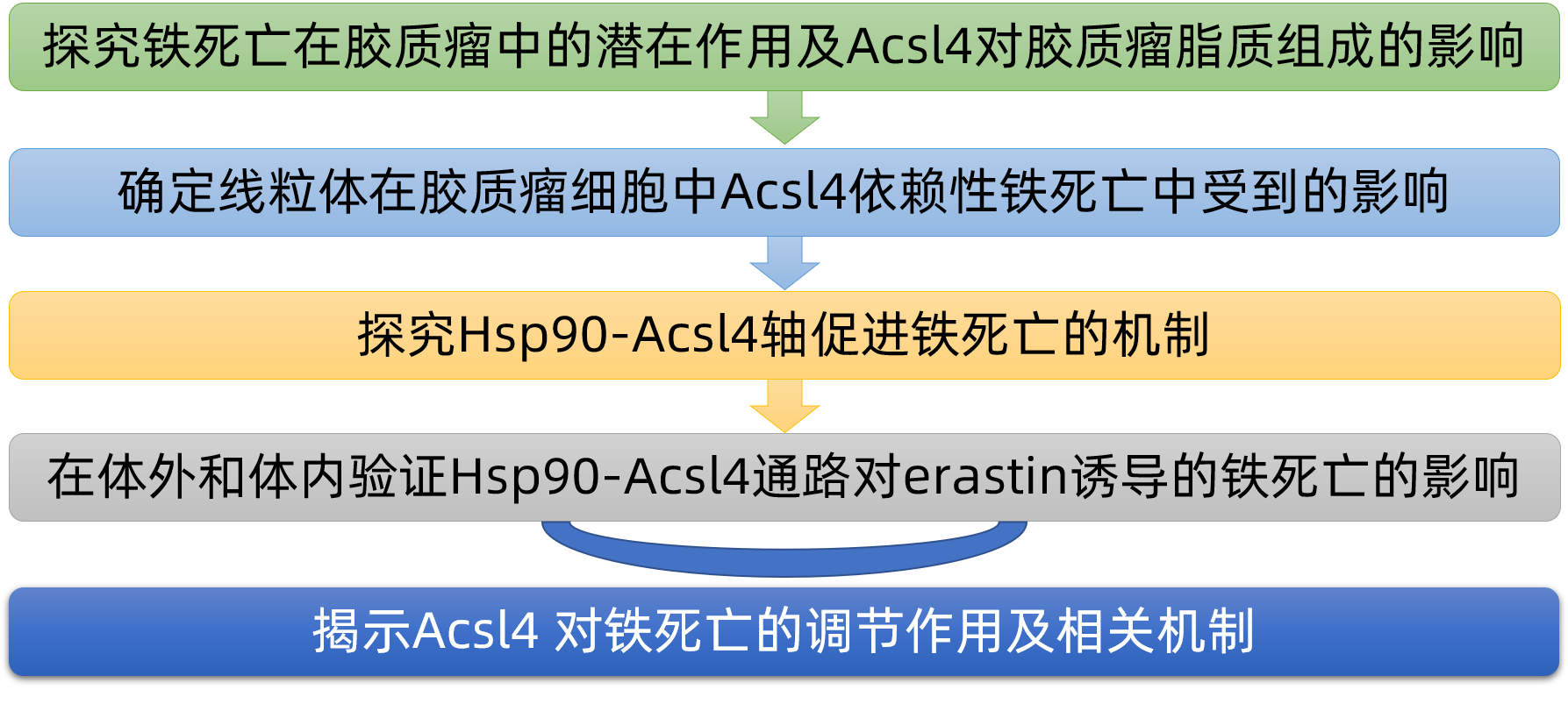 Cell Death & Disease：季晶/刘宁团队揭示Acsl4 可通过对铁死亡的调节作为神经胶质瘤的治疗靶点-中科脂典