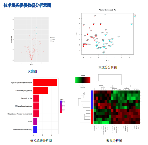 Raybio Raybiotech 蛋白和抗体芯片产品-中生柏奥