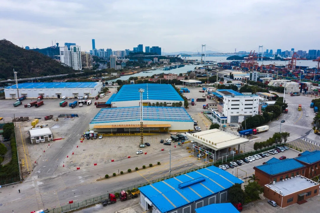 皮纹不对称咋办?儿童医院专家来把关-光彩招商网