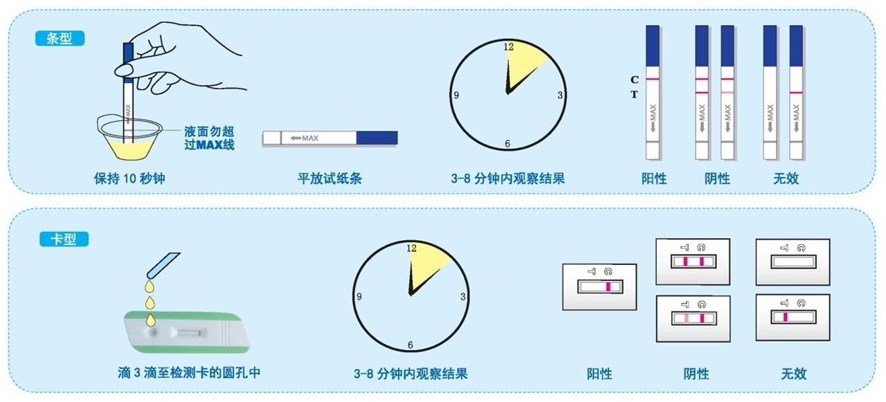 【检测方法及结果判读示意图】详见说明书