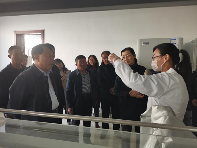 内蒙古自治区人大代表深入三瑞农科考察调研